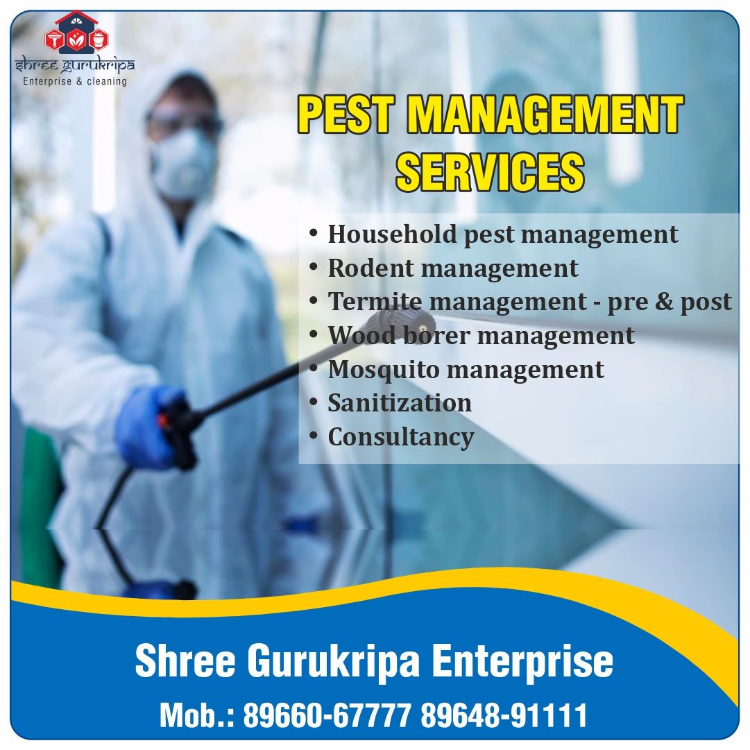 Best Pest Control Services in Indore